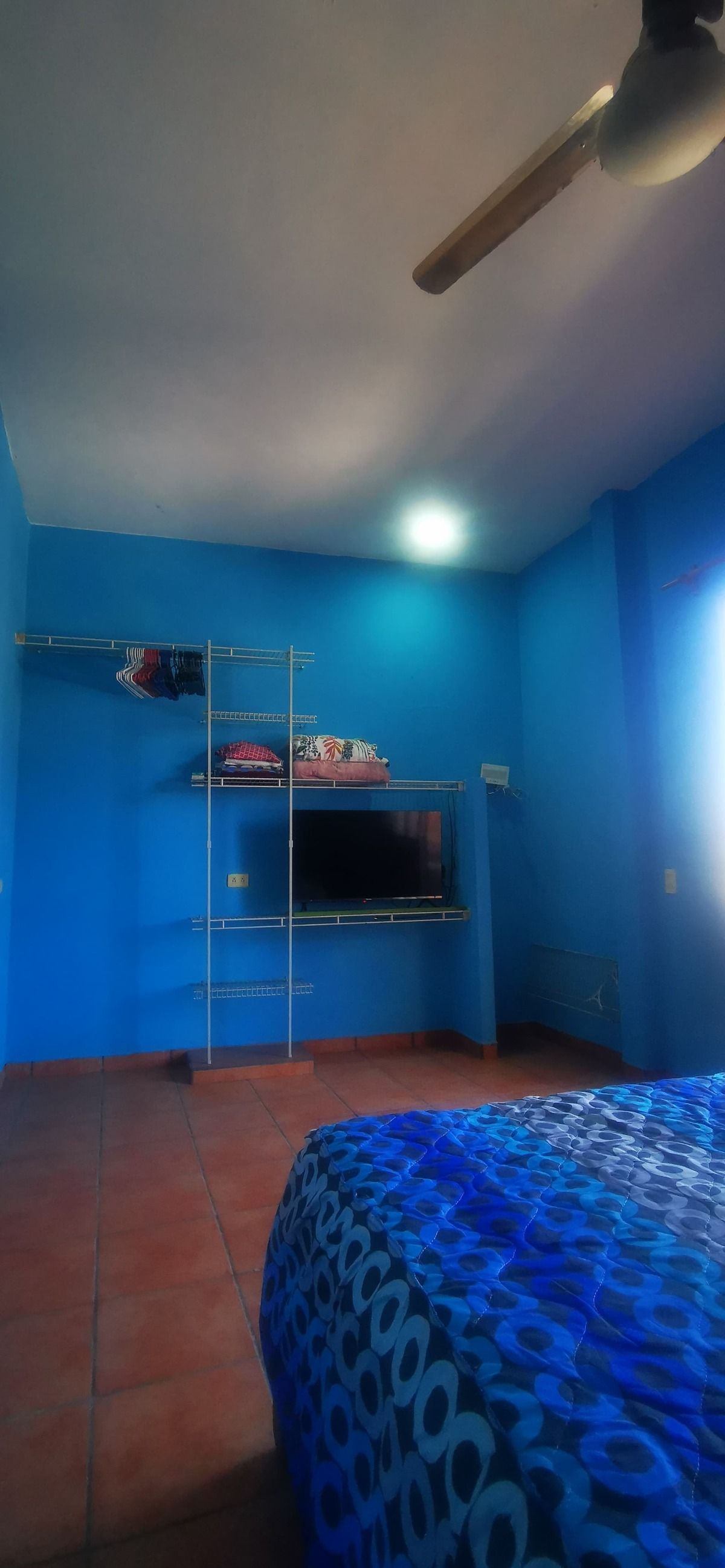 11 de 14