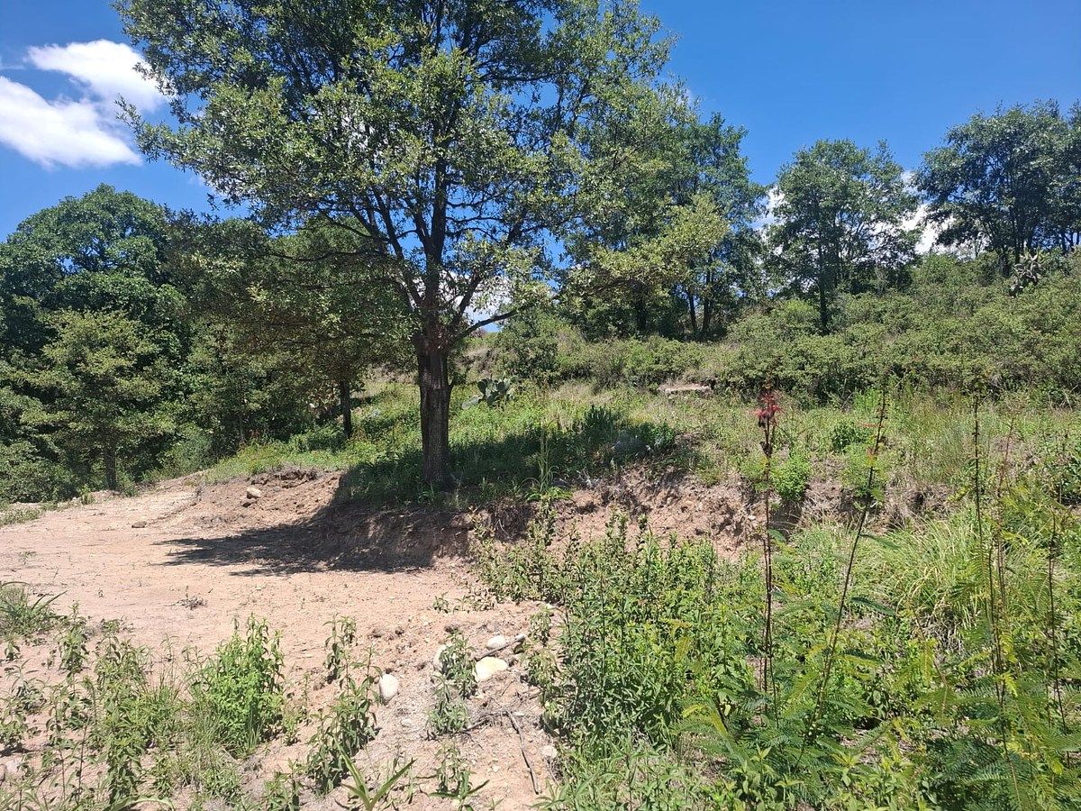 Lote em Villa del Carbón, Villa del Carbón, foto 14 de 19