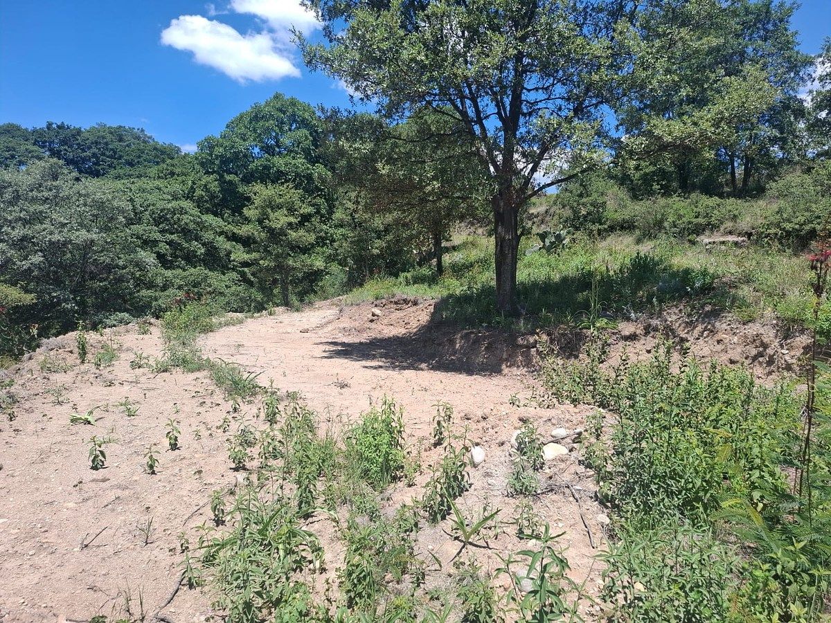 Lote em Villa del Carbón, Villa del Carbón, foto 15 de 19