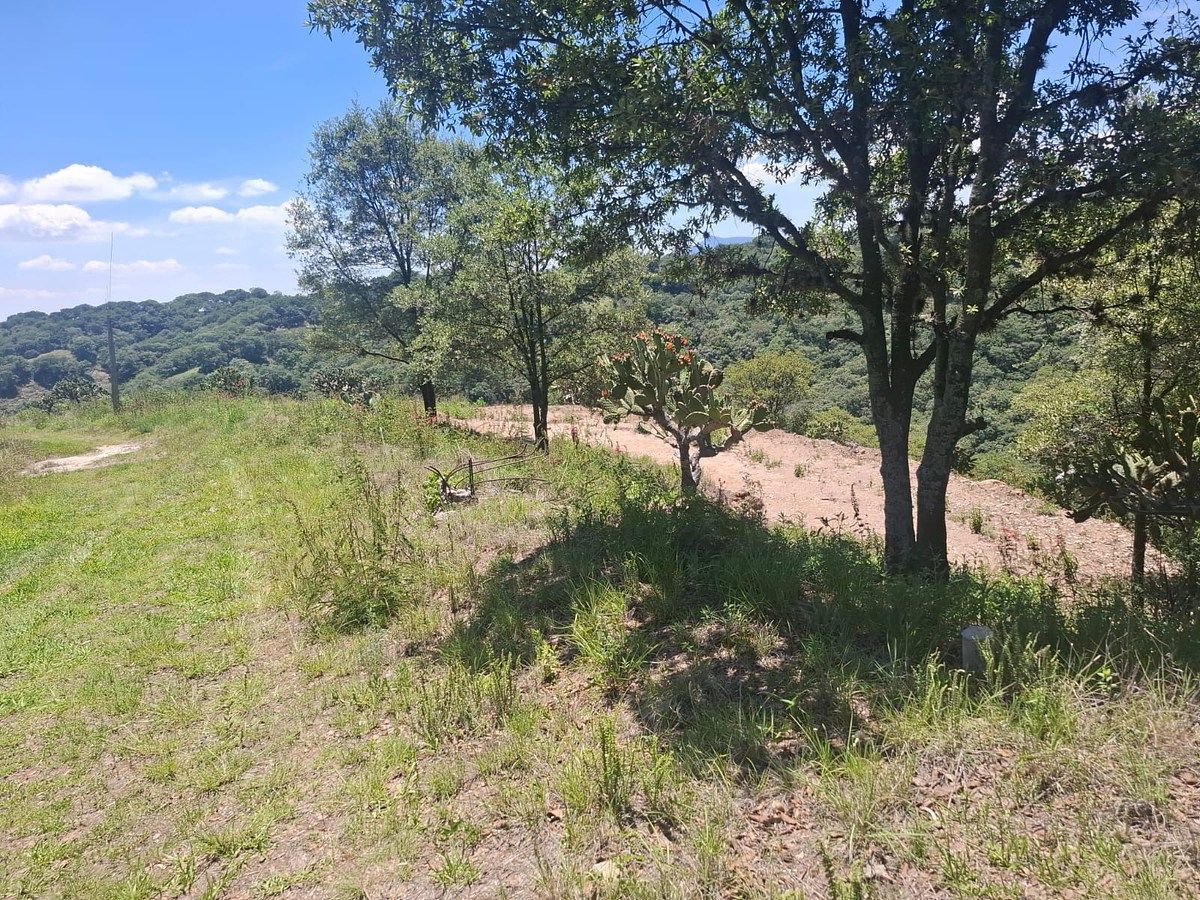Lote em Villa del Carbón, Villa del Carbón, foto 17 de 19