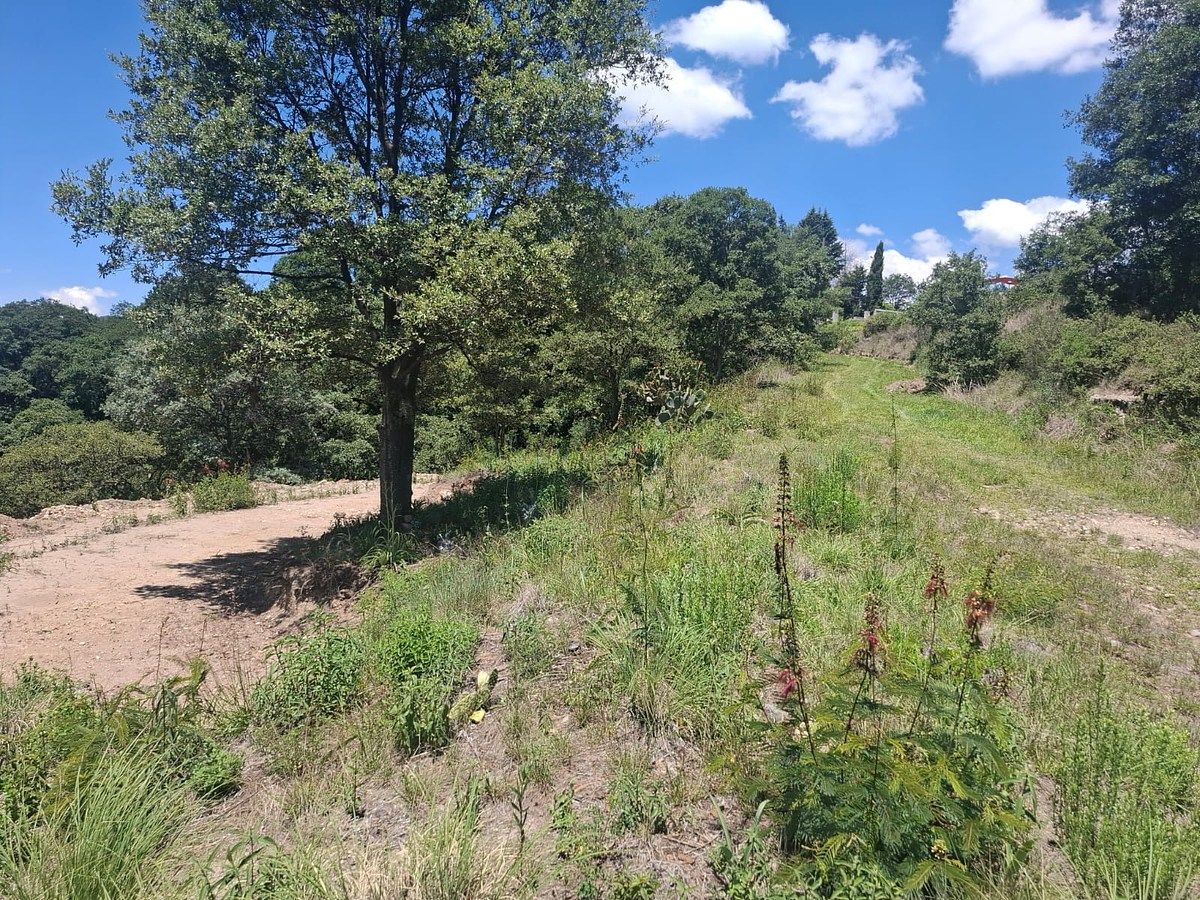 Lote em Villa del Carbón, Villa del Carbón, foto 18 de 19