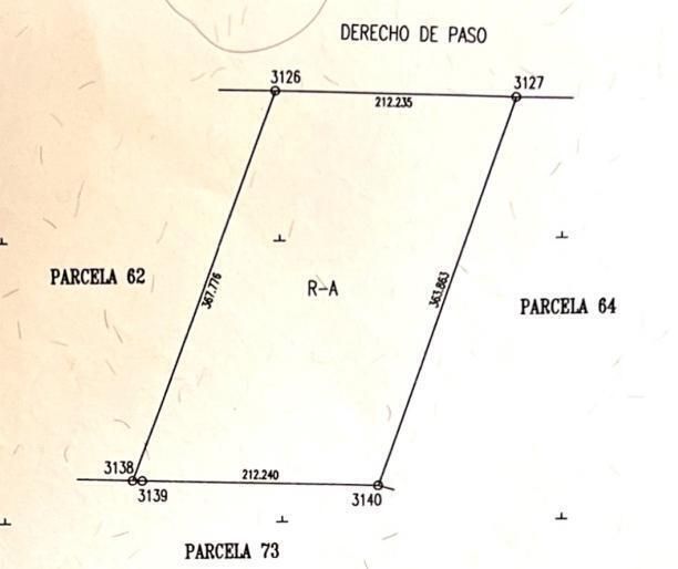 5 de 7