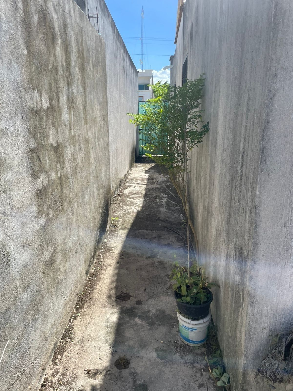 7 of 7: PASILLO DE SERVICIO