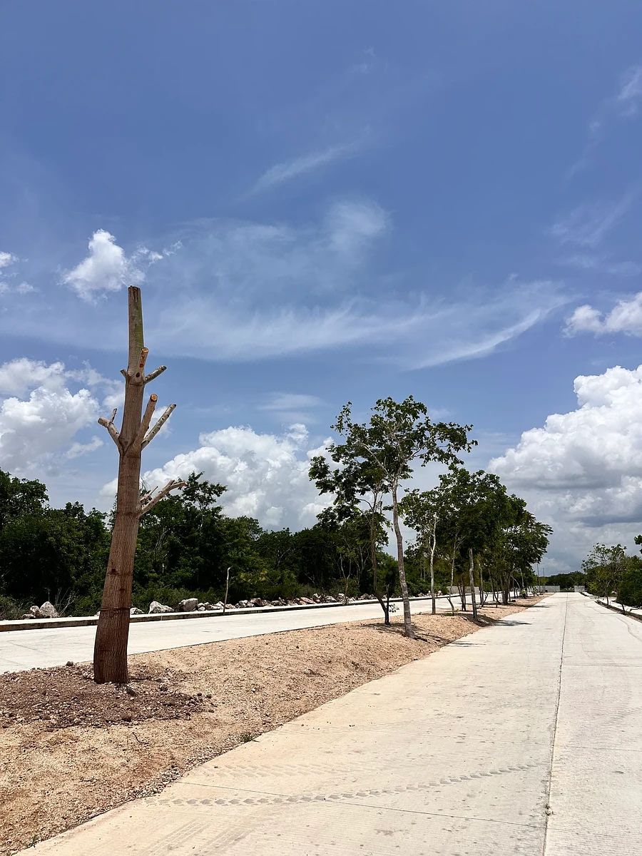 Terreno en Chablekal, Mérida, foto 25 de 25