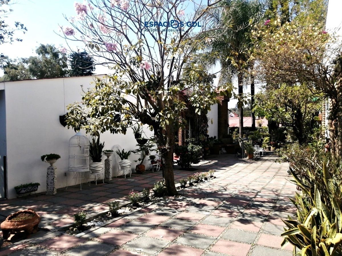 3 de 26