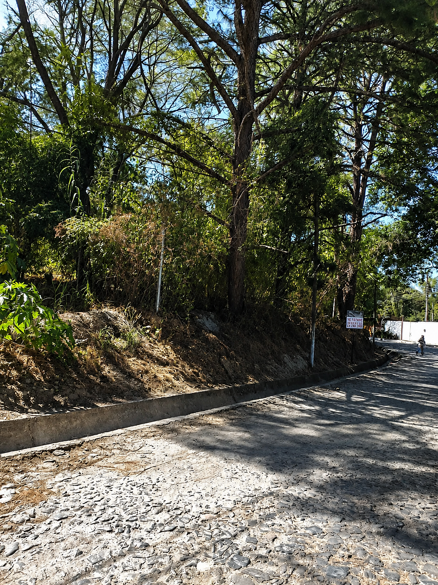 Lot in Pinar de La Venta, Zapopan, photo 3 of 4