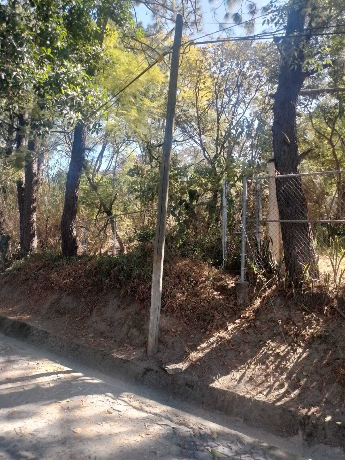 Imagen 3 de 9