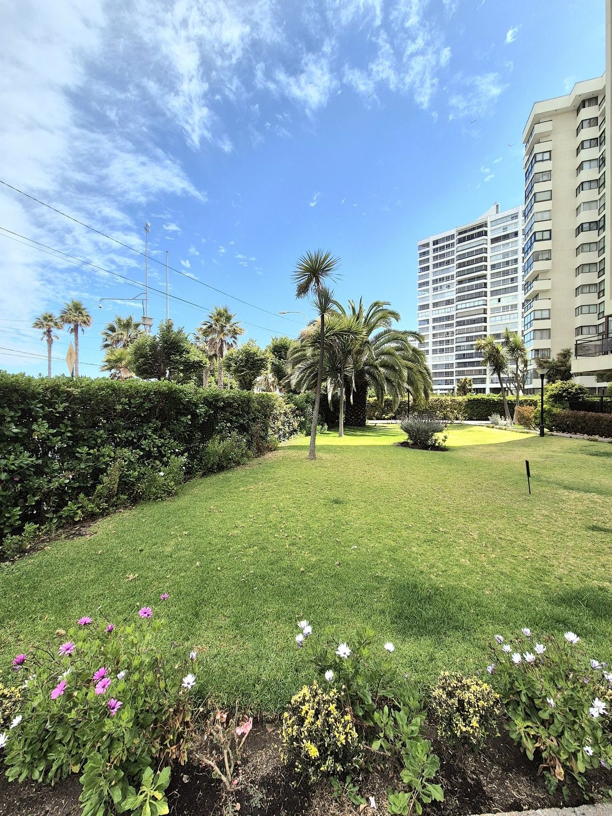 Departamento en Avenida San Martin, Viña del Mar, foto 12 de 12