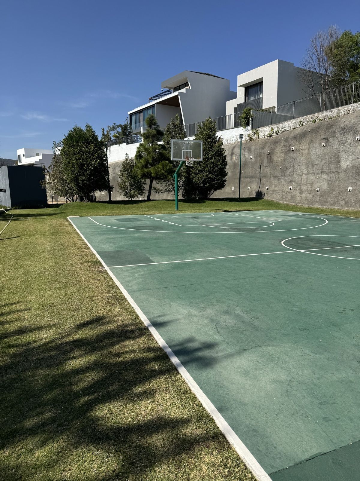 6 de 31