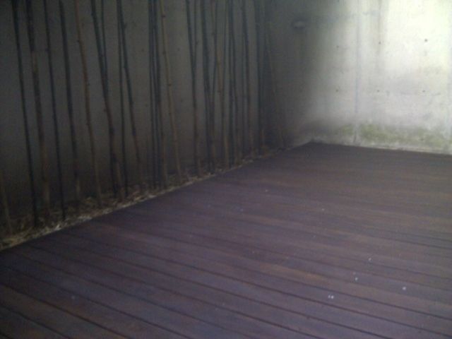 Departamento en Polanco I Sección, Miguel Hidalgo, foto 6 de 6