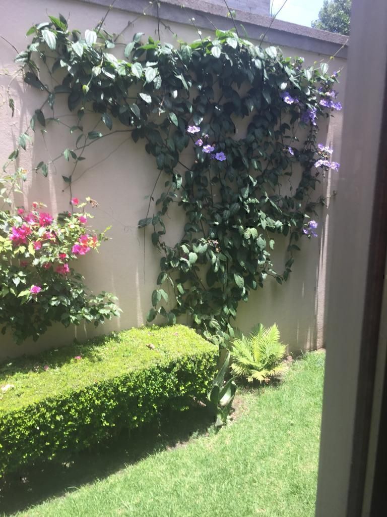 15 de 15
