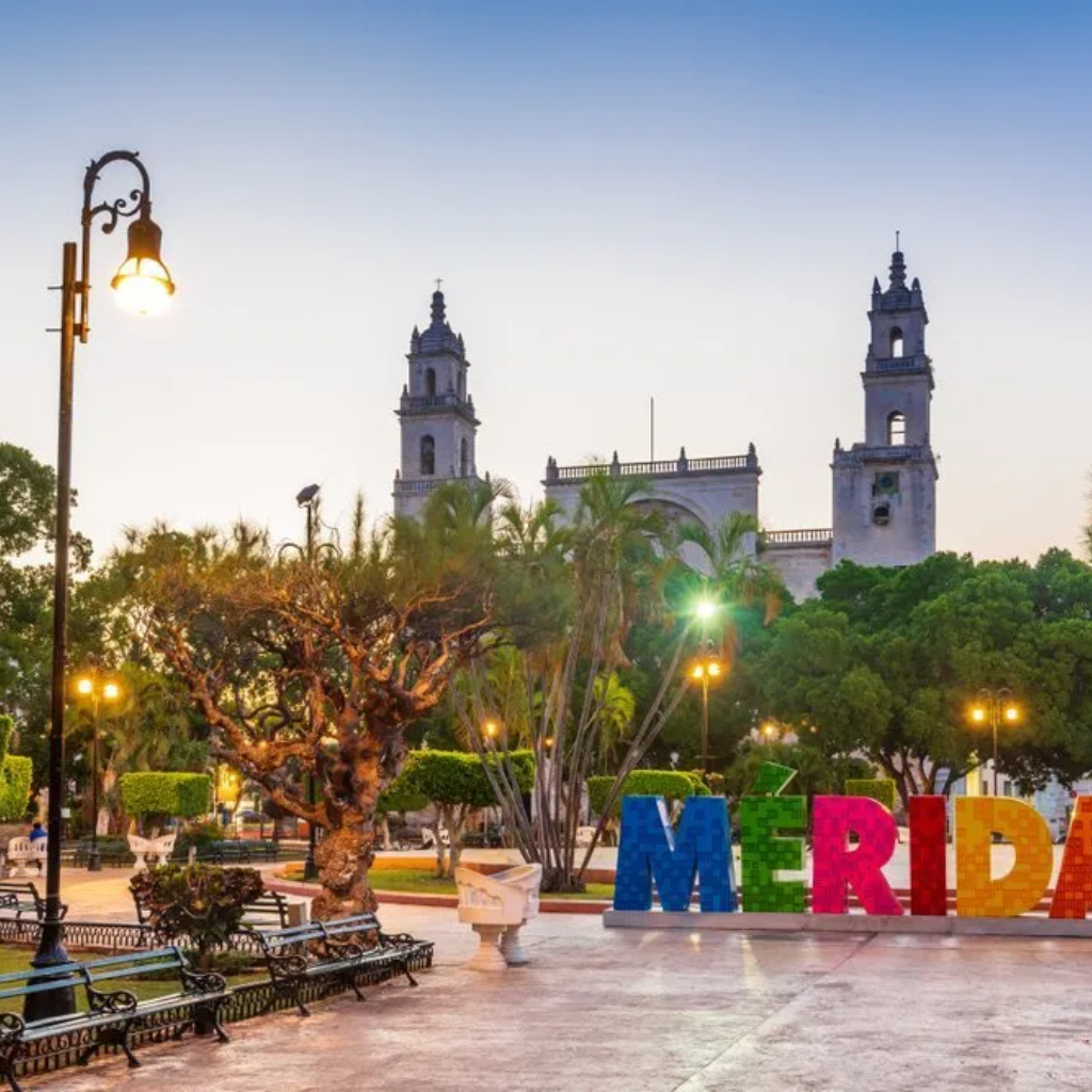 11 de 12: Imágenes mostradas son sólo para fines ilustrativos.