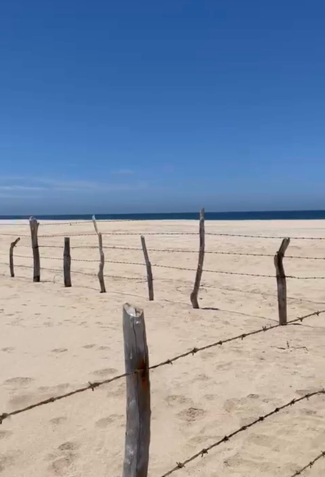 3.9 HAS LAS PLAYITAS TODOS SANTOS BCS, MX - foto 3