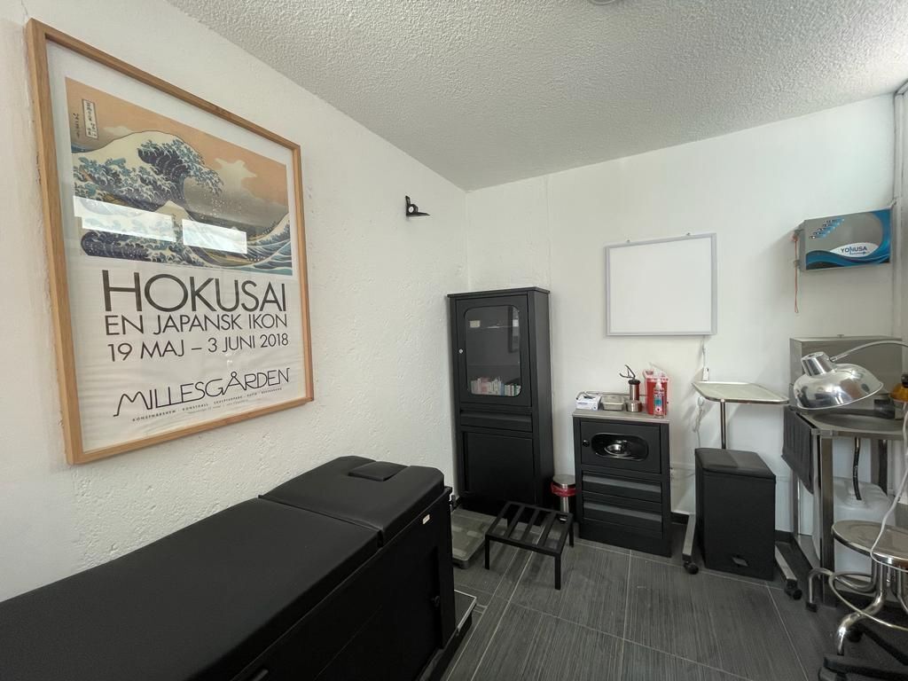 14 de 21: Casa en Renta en Pedregal Rayo Vende ®