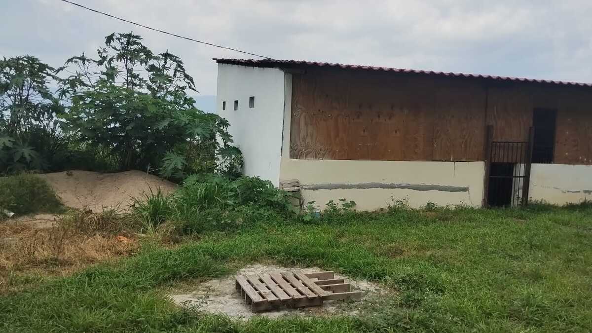 9 de 15