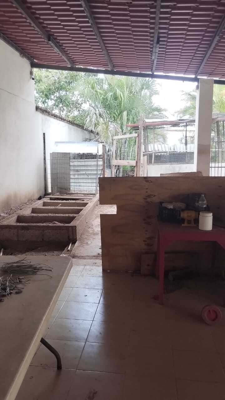 10 de 15