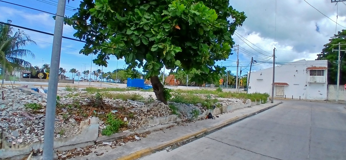 4 de 12