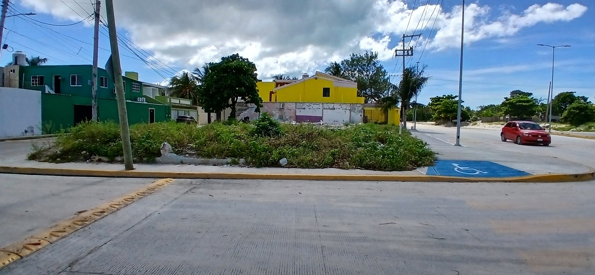 5 de 12