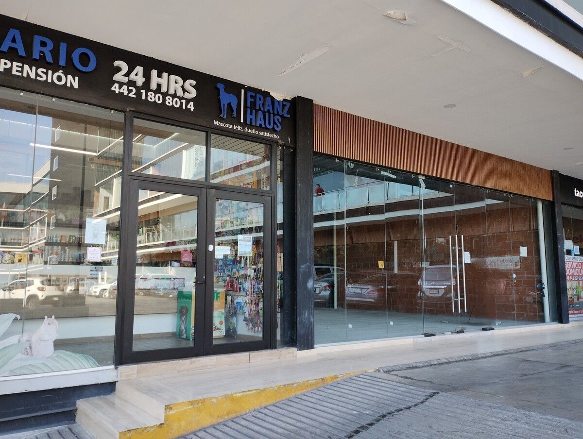 3 de 18