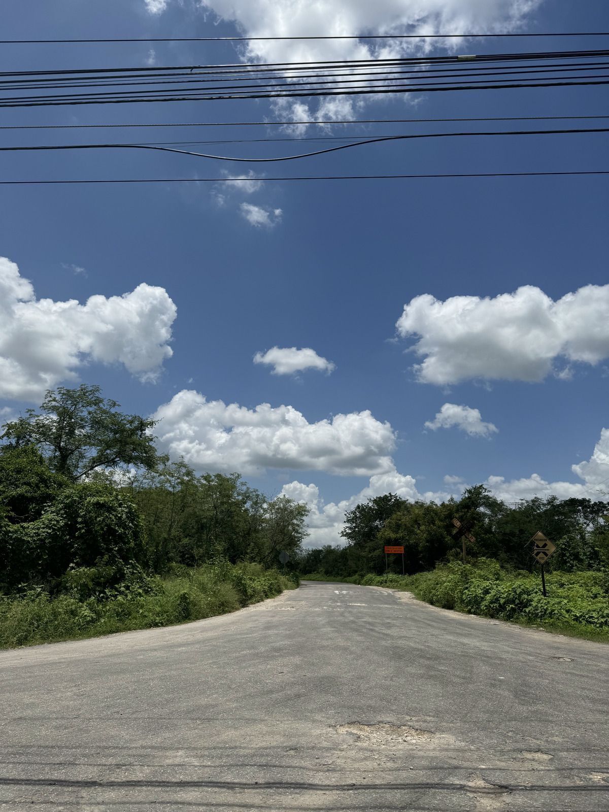 4 de 8