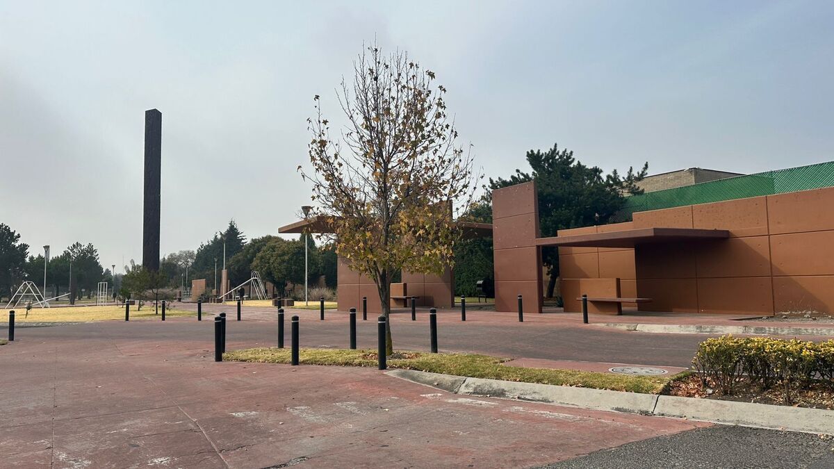 Imagen 10 de 10
