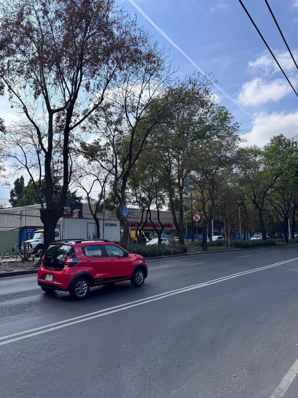 13 de 14