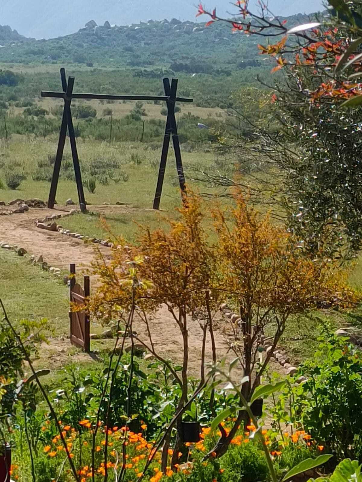 Venta de 9.4 Hectárea en Valle de Guadalupe, Frente Vena Cava