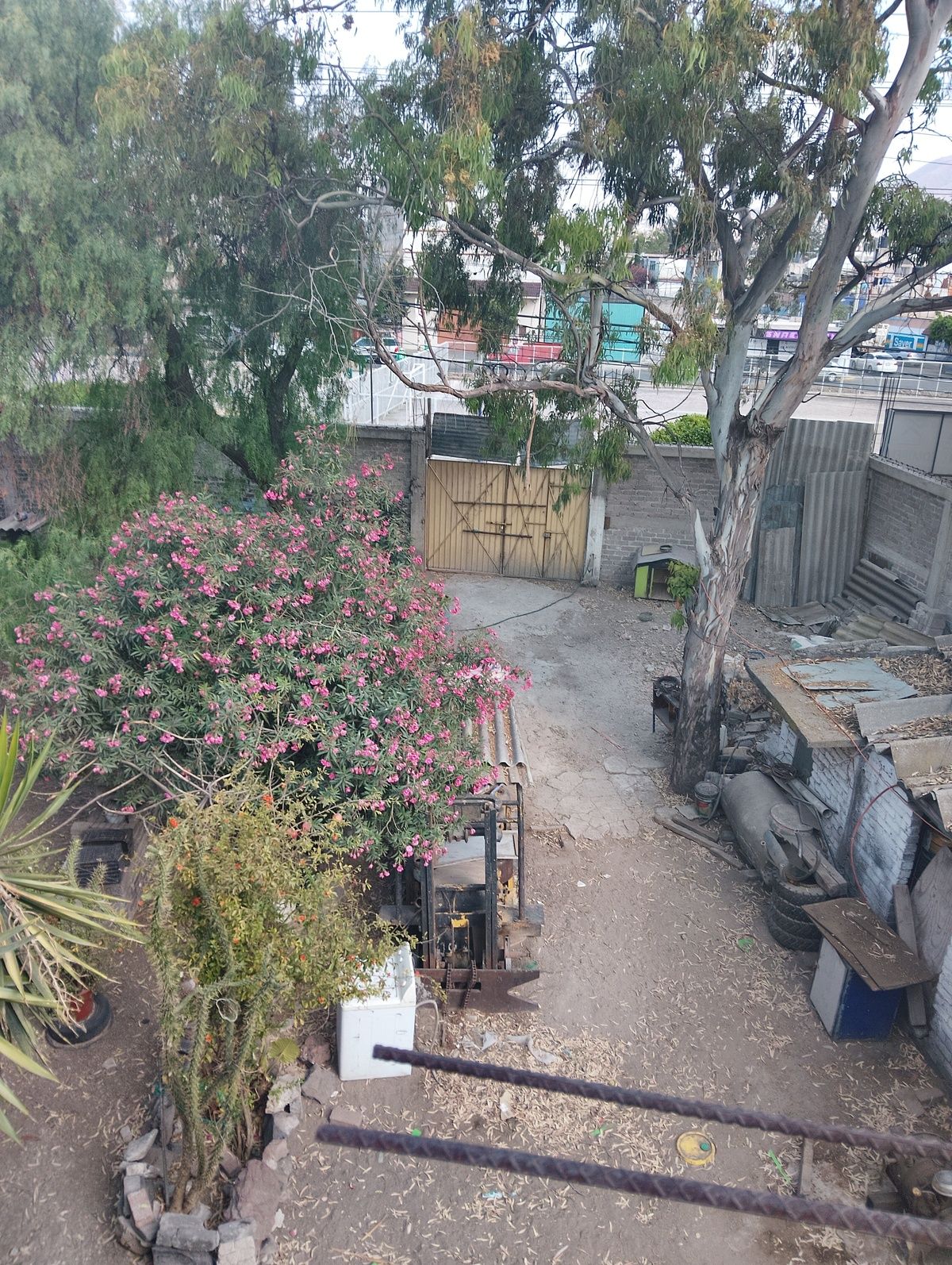 1 de 7