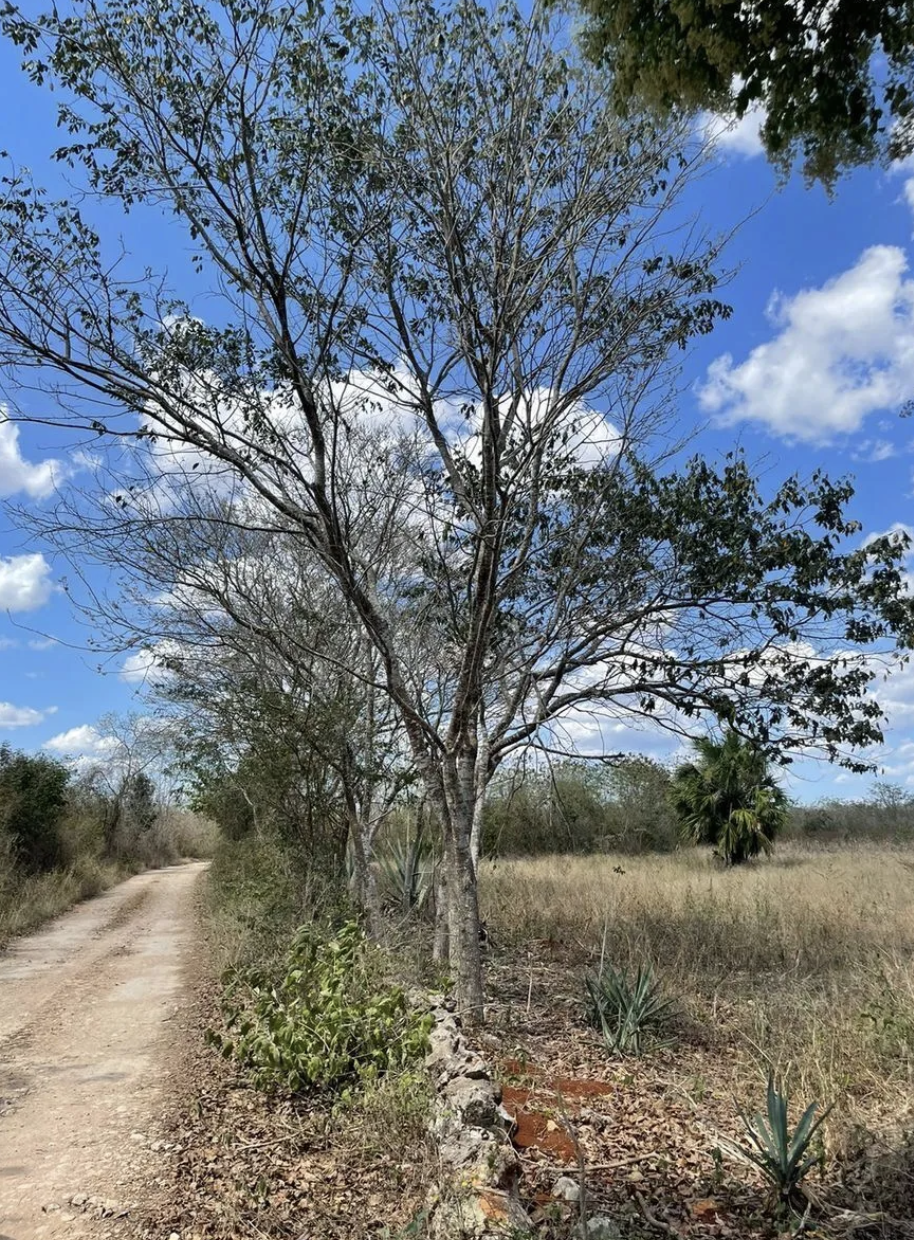 2 de 6
