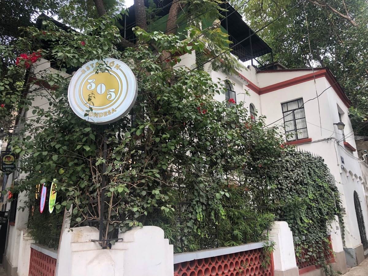 6 de 13