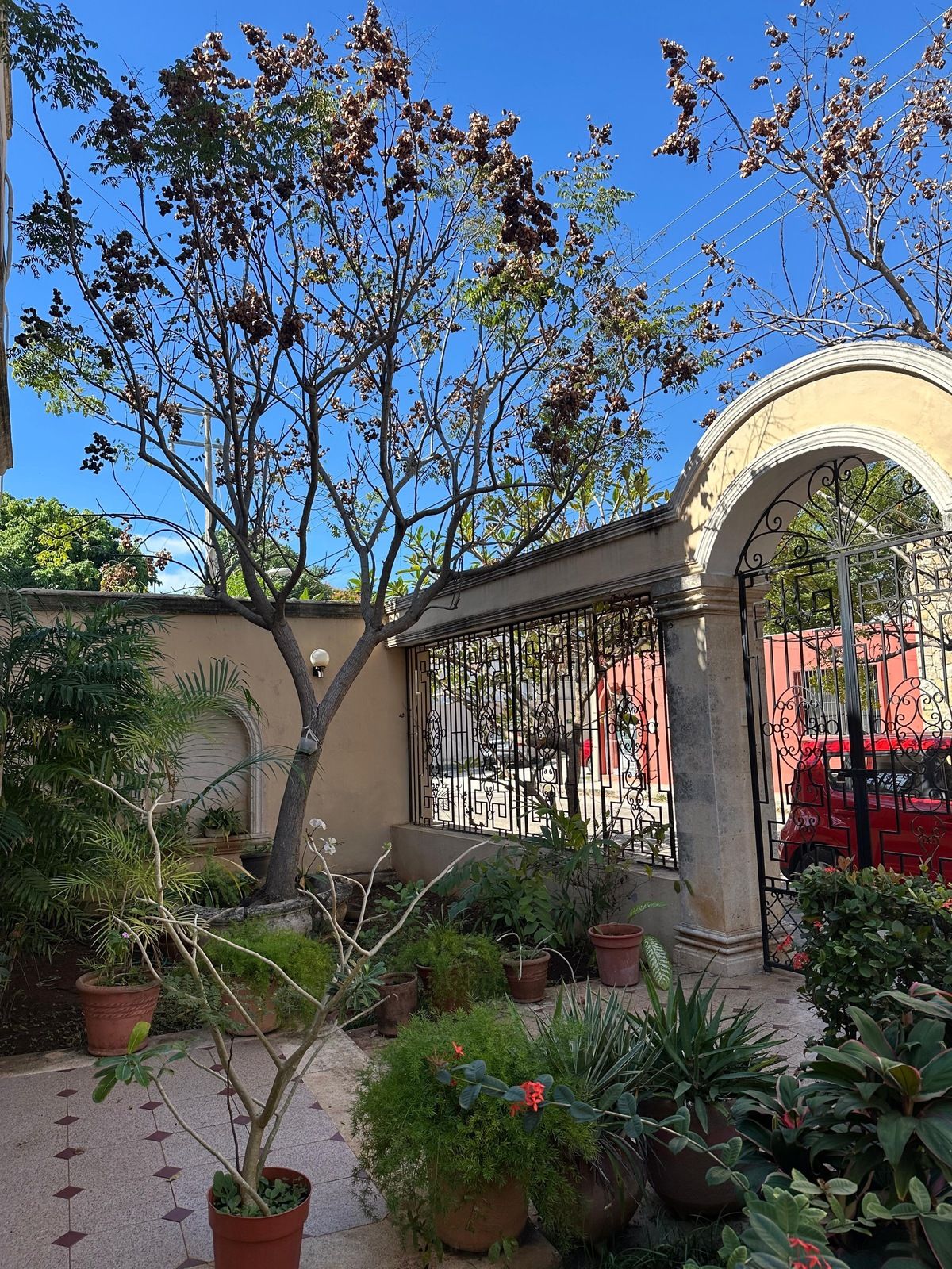 1 de 15: Entrada peatonal