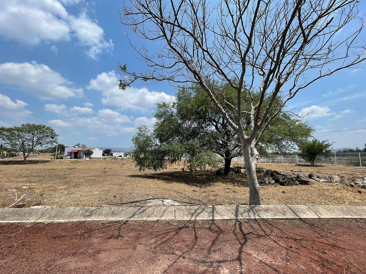 Lote em Acatlán de Juárez Centro, Acatlán de Juárez, foto 8 de 9