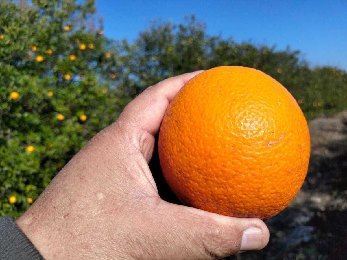 3 de 7