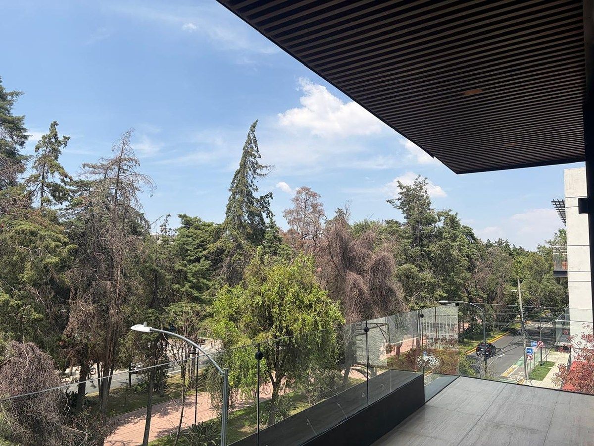 VENTA DEPARTAMENTO 200 mts. POLANCO -HORACIO SECCION III, foto 1 de 25