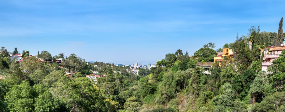 11 de 12