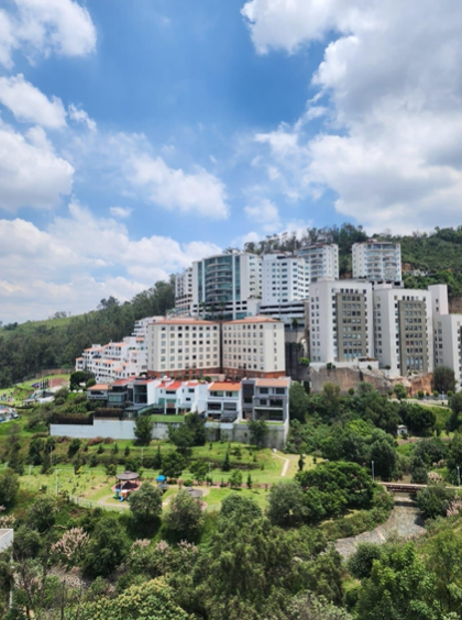 13 de 17