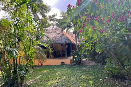 Quinta com bela vegetação para desfrutar ou desenvolver
