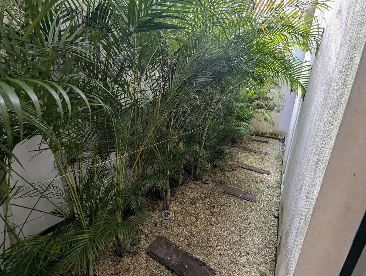 Departamento en La Veleta, Tulum, foto 17 de 20