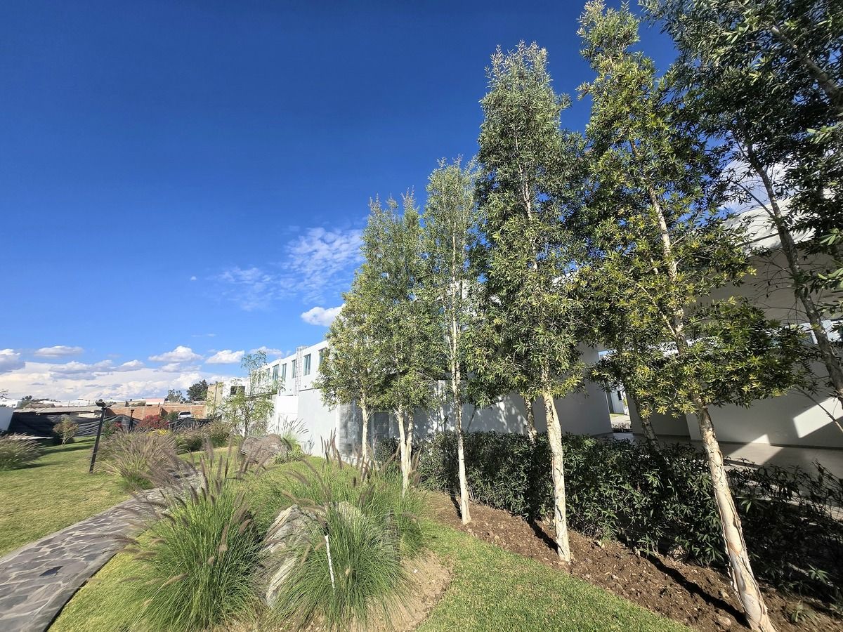 Casa en Francisco Sarabia, Zapopan, foto 27 de 30