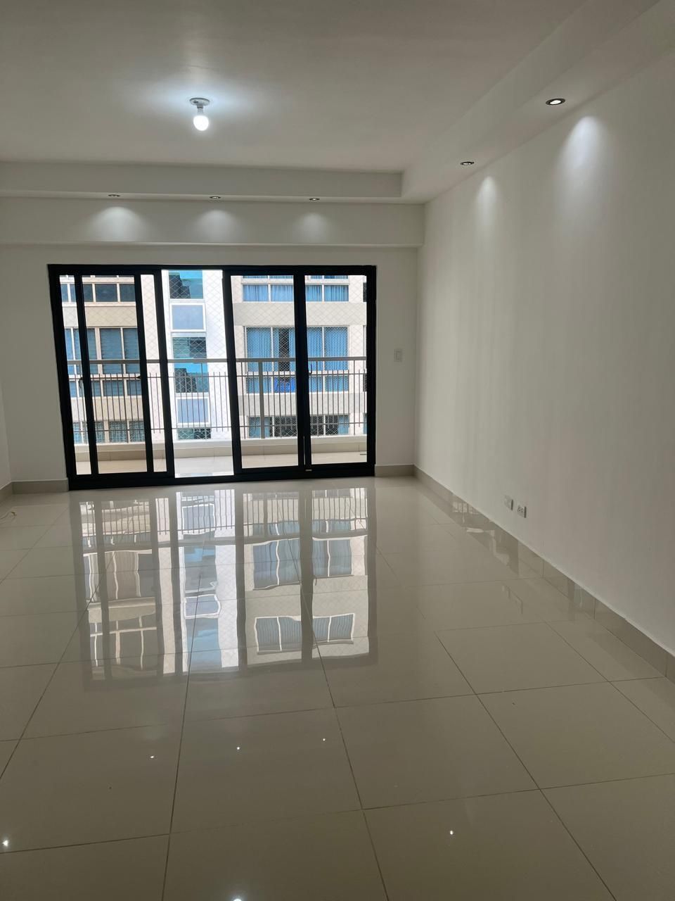 Apartment in Piantini