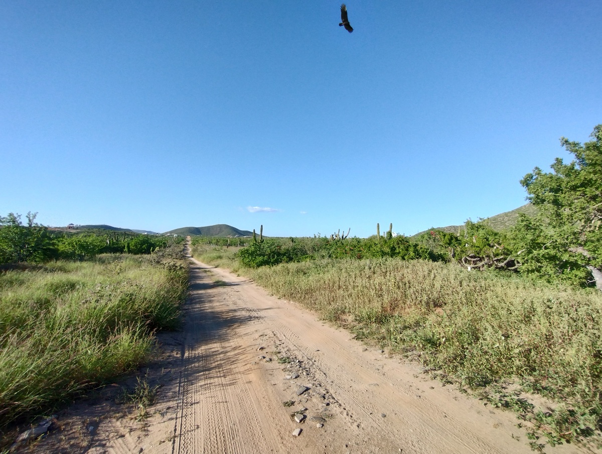 1 de 6: ACCESO