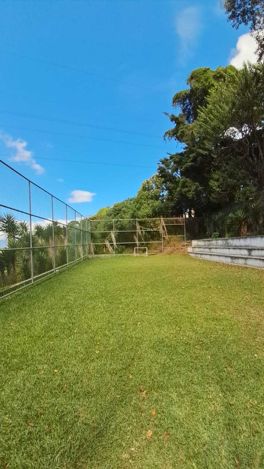 23 de 29