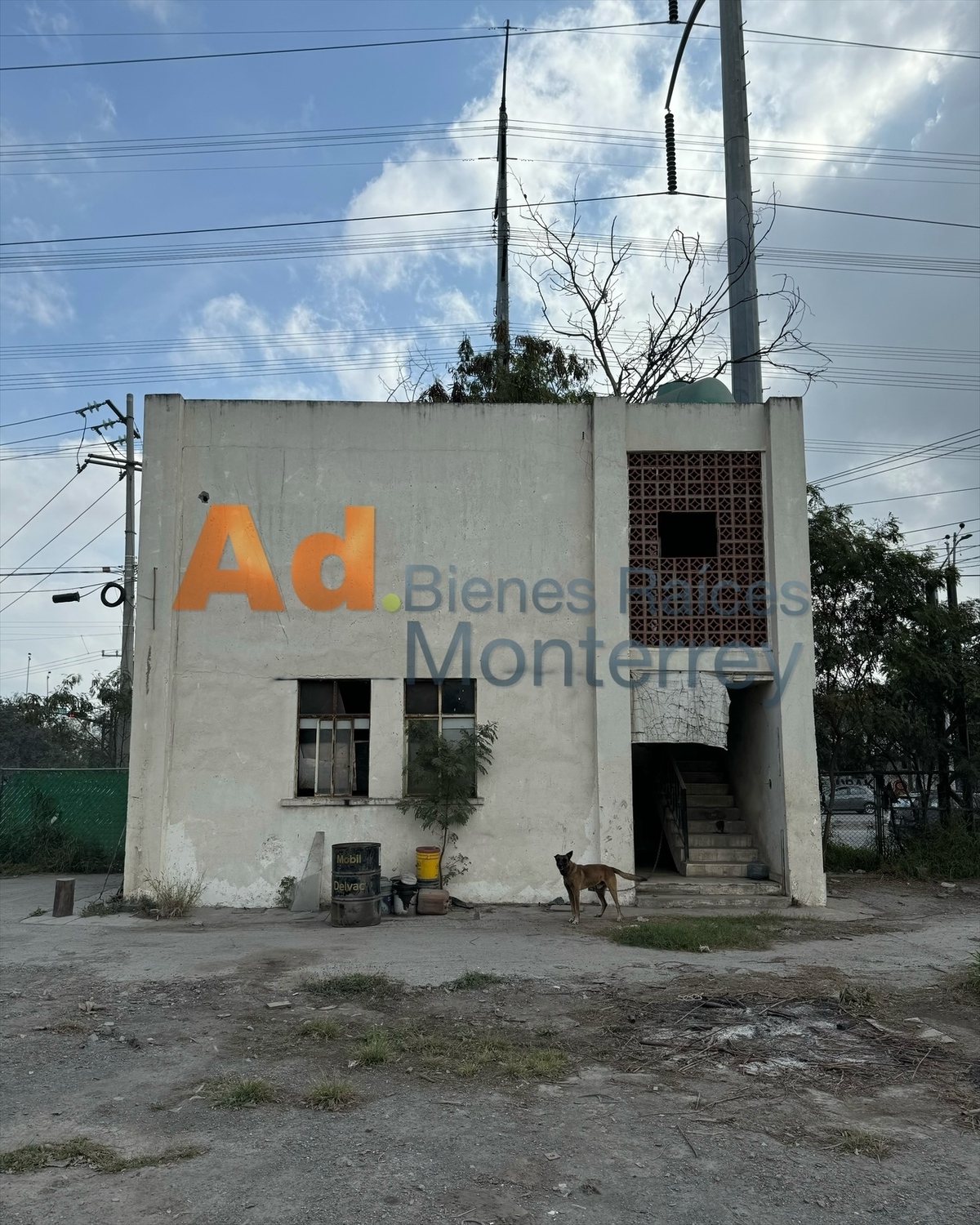 4 de 25