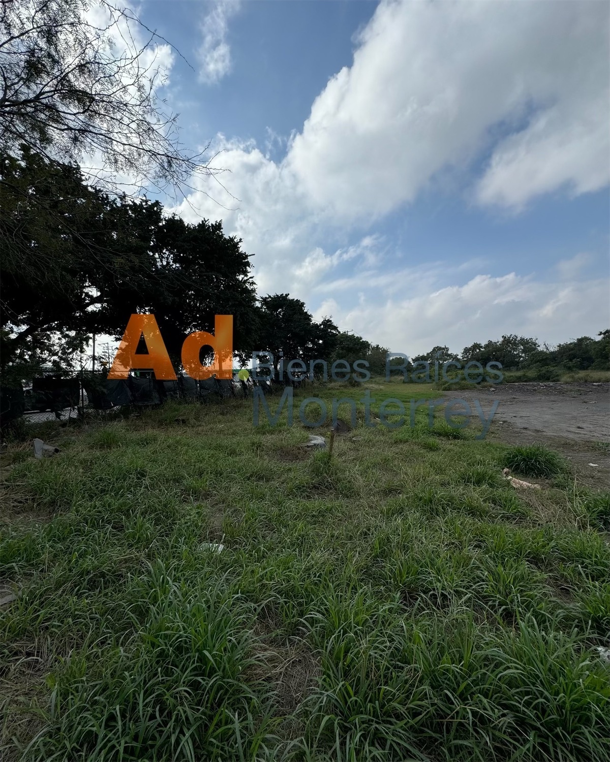 5 de 25