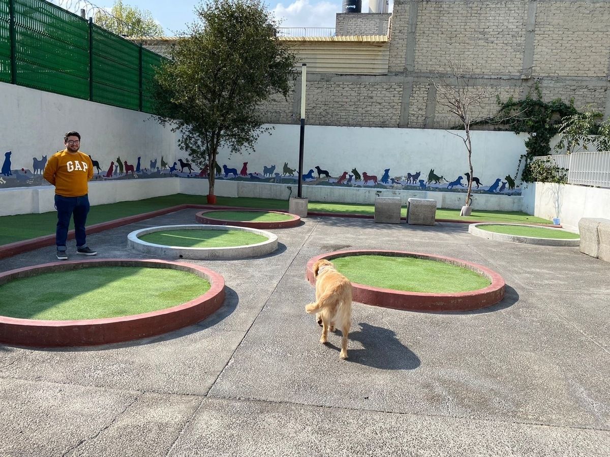 Apartamento em San Lorenzo Tlaltenango, Miguel Hidalgo, foto 17 de 26