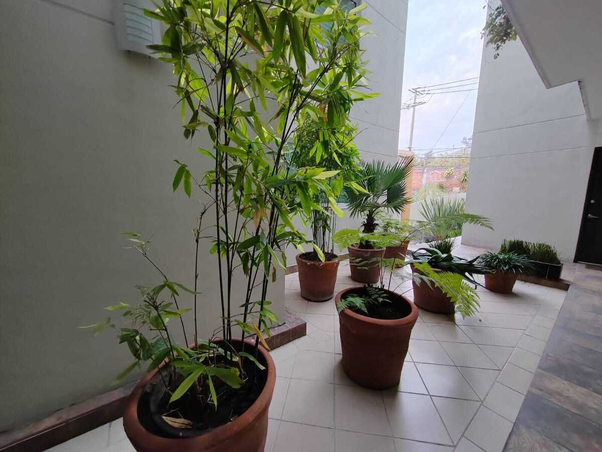 33 de 37