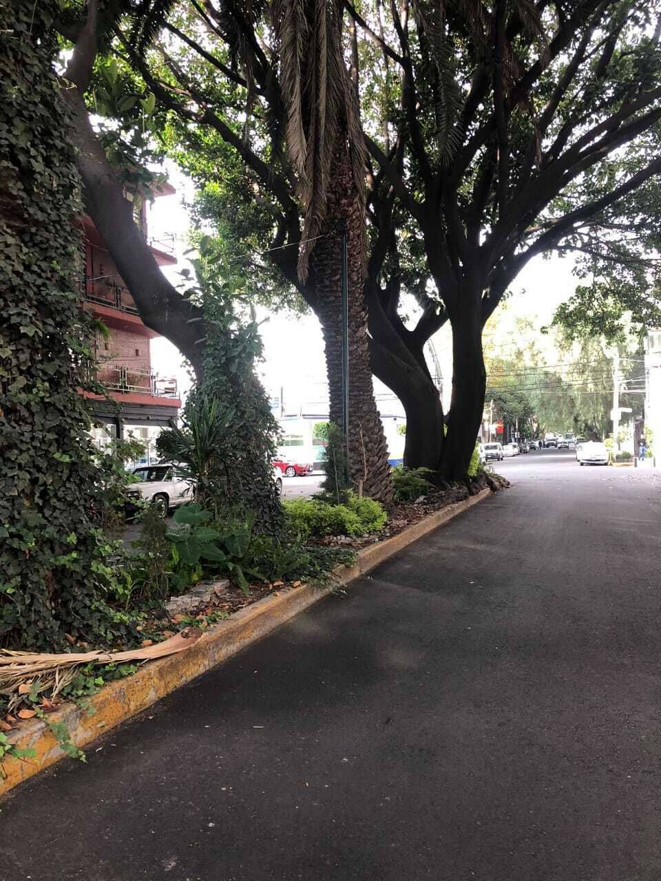3 de 16