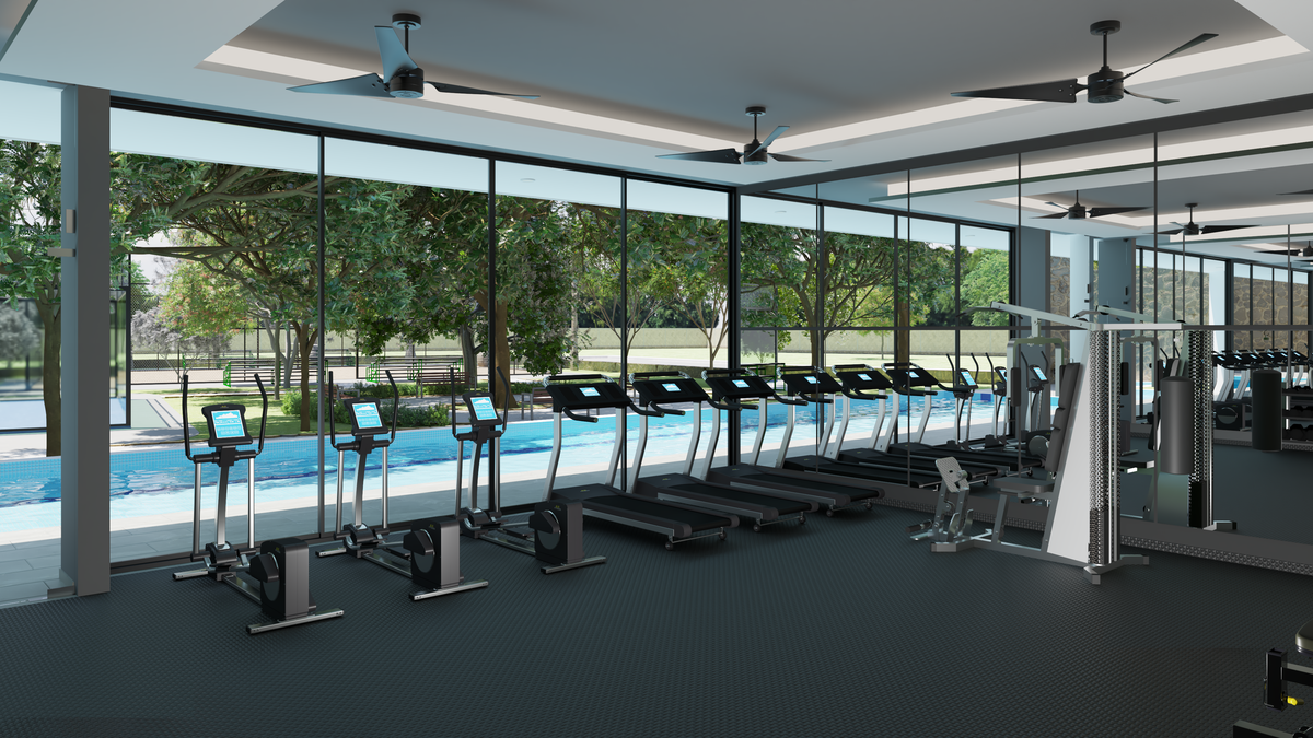 19 de 27: GYM AMENIDAD