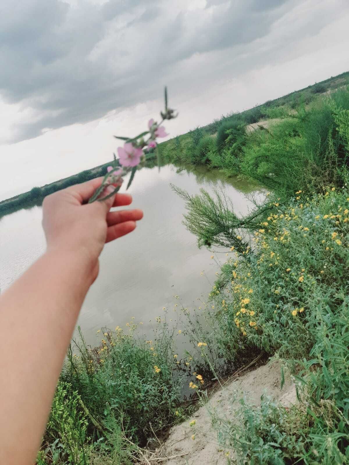 -