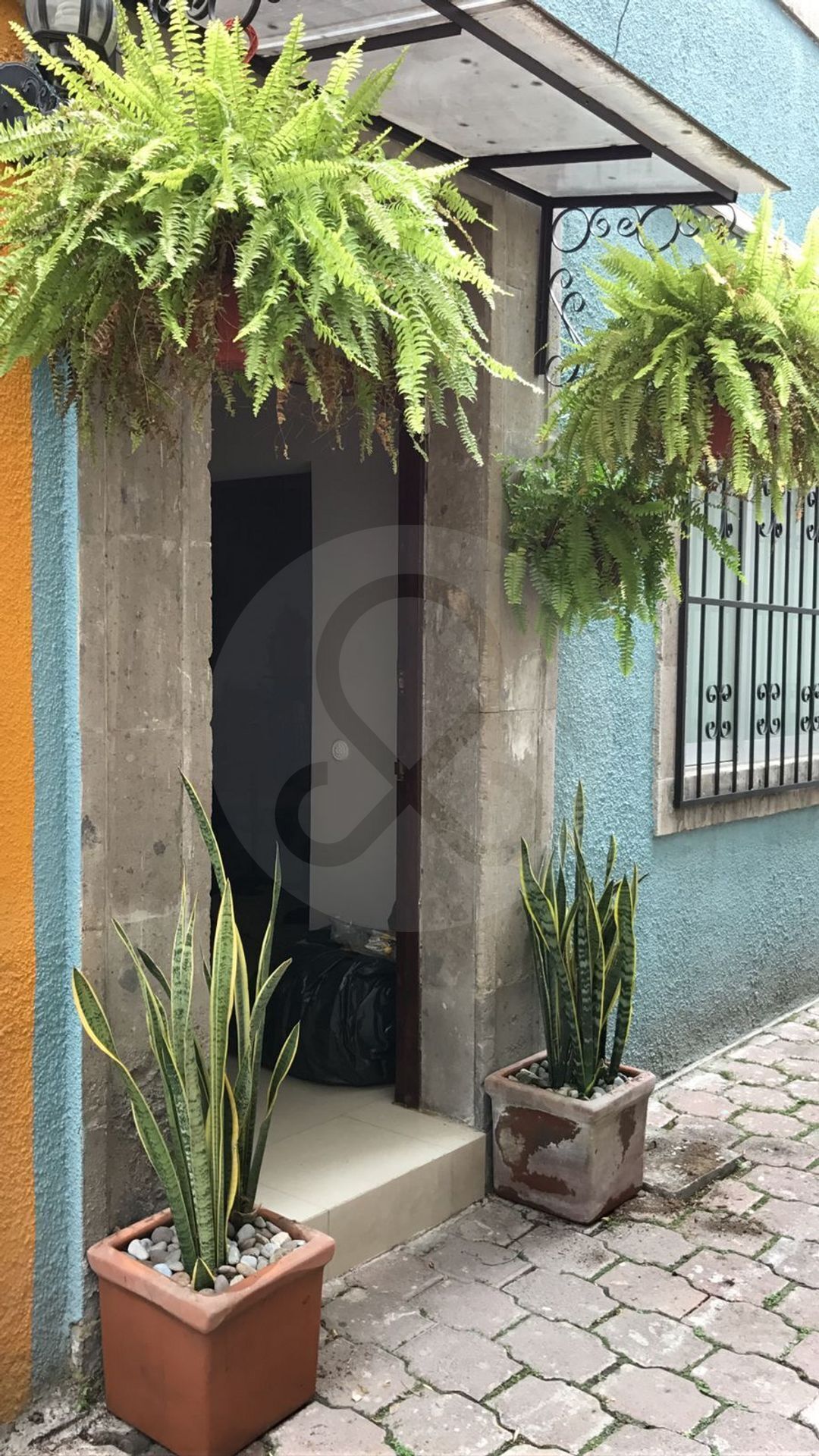 17 de 21